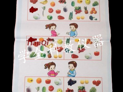 小學(xué)數(shù)學(xué)統(tǒng)計與概率教學(xué)掛圖