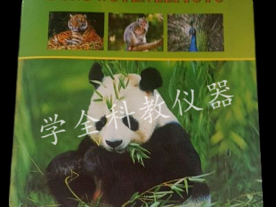 動(dòng)物分類(lèi)譜圖